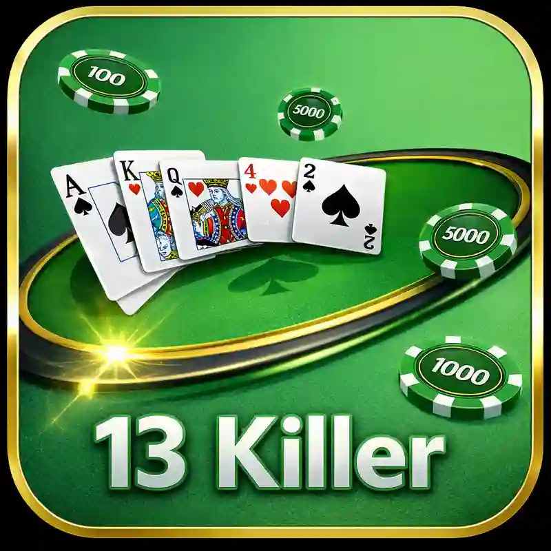 13 Killer game